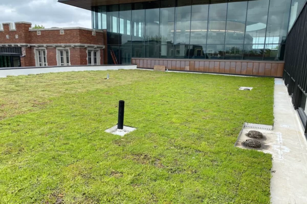 Grinnell College Green Roof